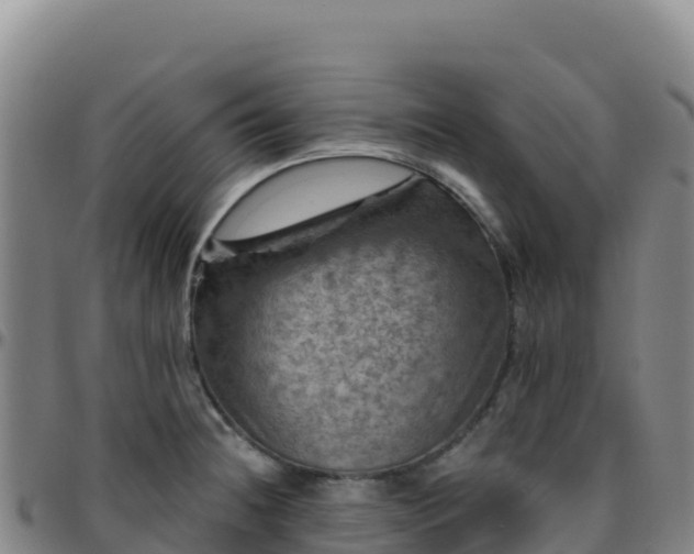 X0000096471236200801311527