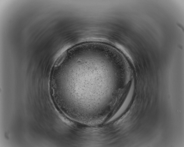 X0000096471237200801311527