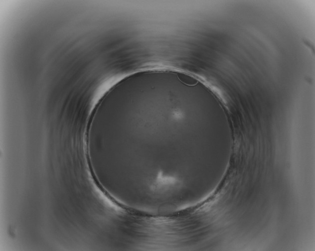 X0000096471239200801311527