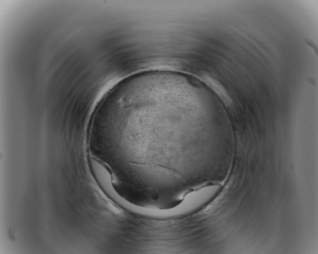 X0000096471240200801311527