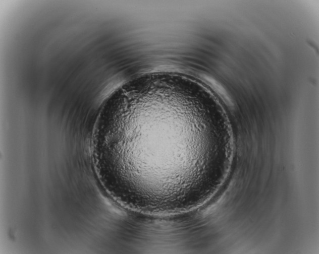 X0000096471241200801311527