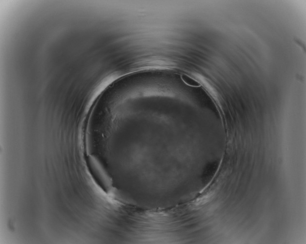 X0000096471243200801311527