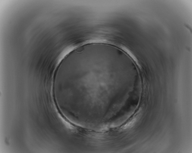 X0000096471245200801311527