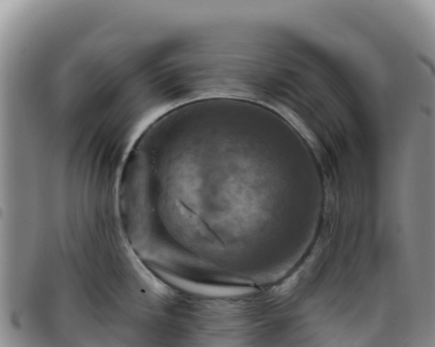 X0000096471246200801311527