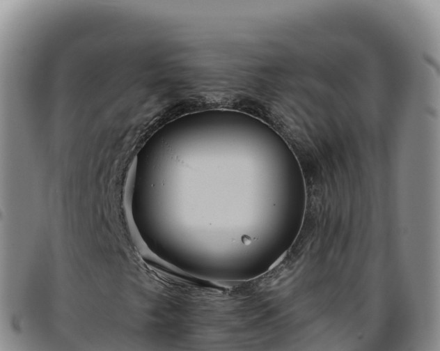 X0000096471249200801311527