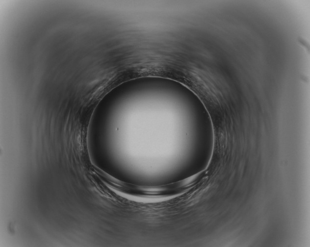 X0000096471250200801311527