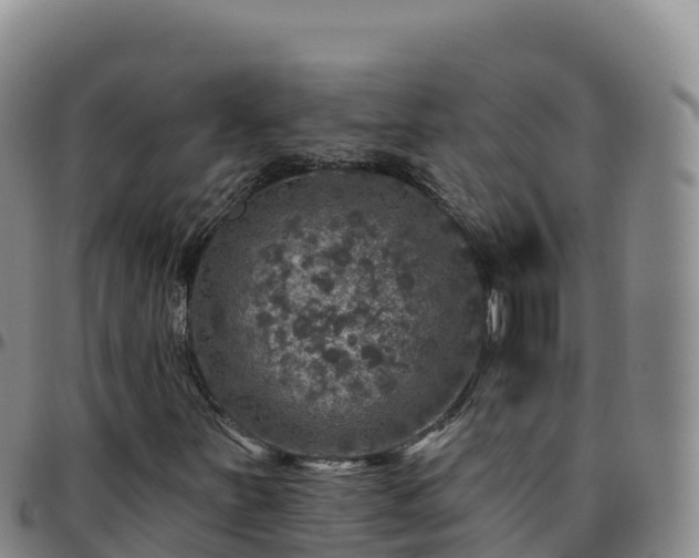 X0000096471251200801311527