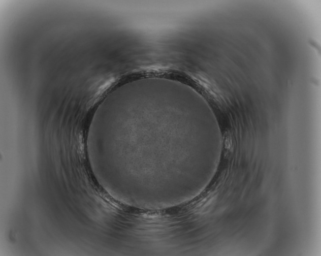 X0000096471252200801311527