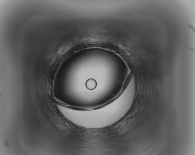 X0000096471253200801311527