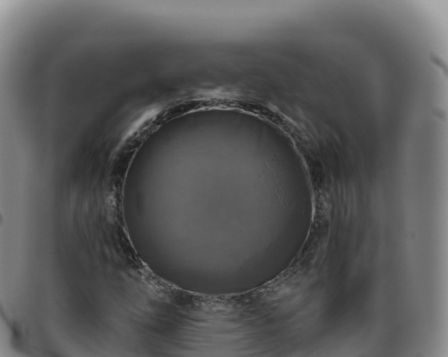 X0000096471254200801311527