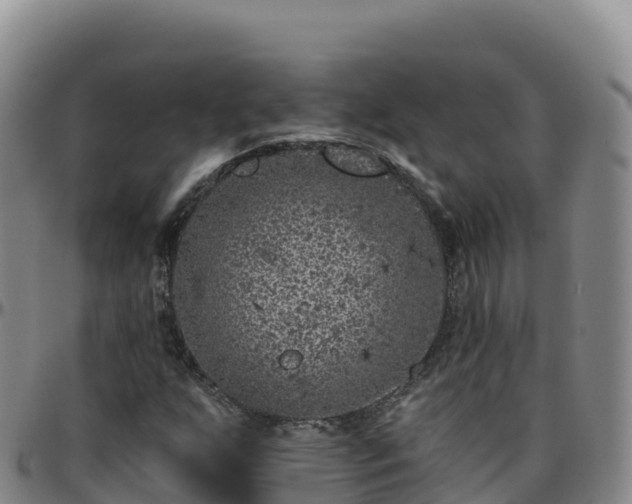 X0000096471255200801311527