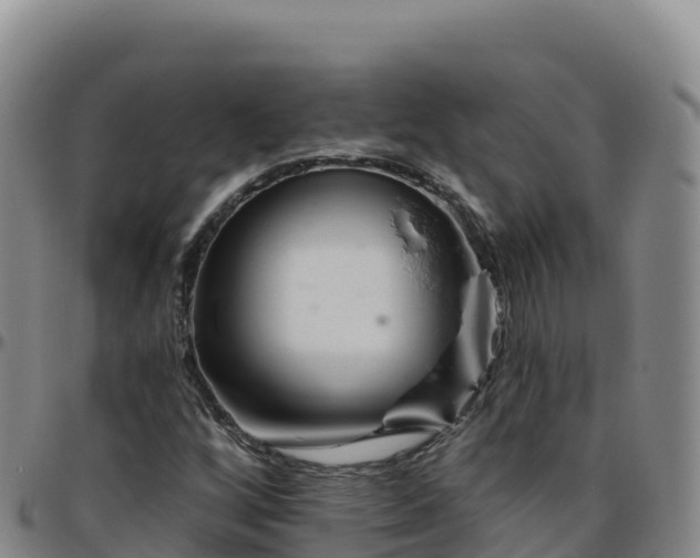 X0000096471256200801311527
