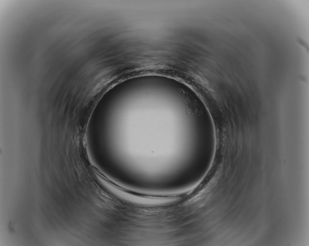 X0000096471257200801311527