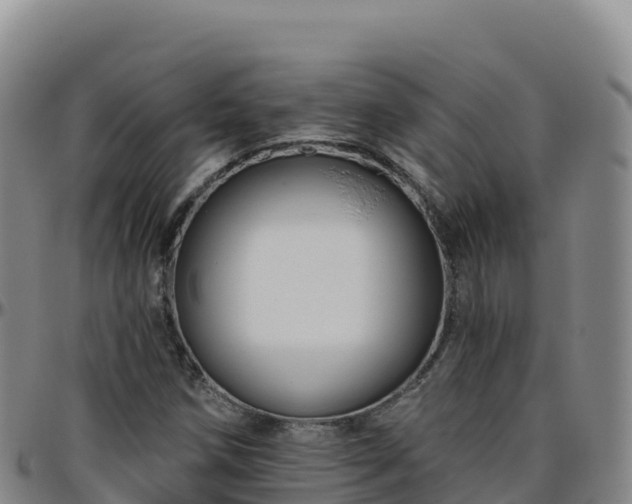 X0000096471258200801311526