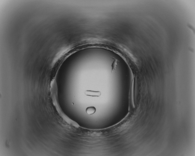 X0000096471261200801311526