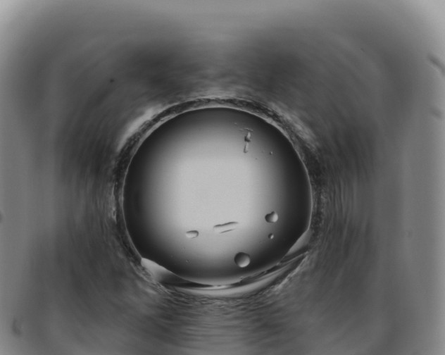 X0000096471262200801311526