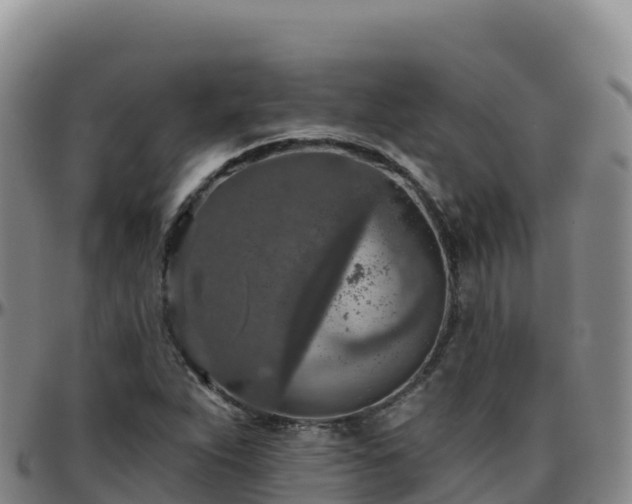 X0000096471263200801311526