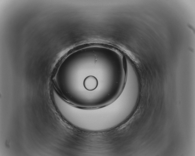 X0000096471264200801311526