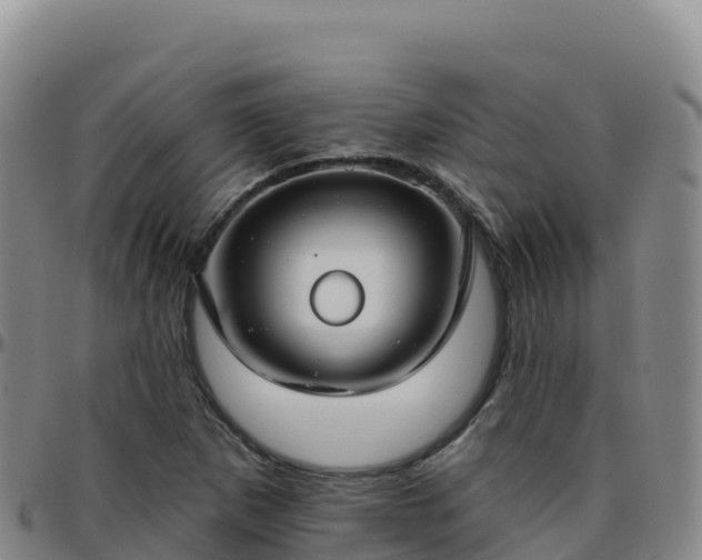 X0000096471265200801311526