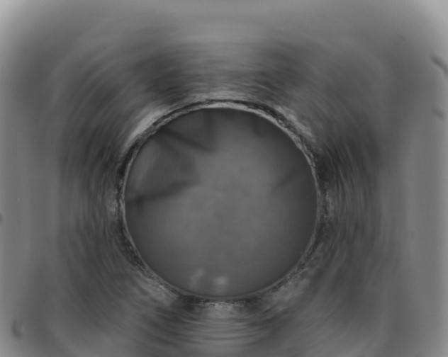 X0000096471266200801311526