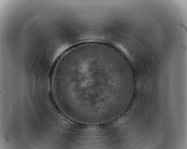 X0000096471267200801311526