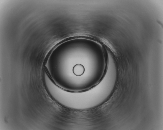 X0000096471268200801311526