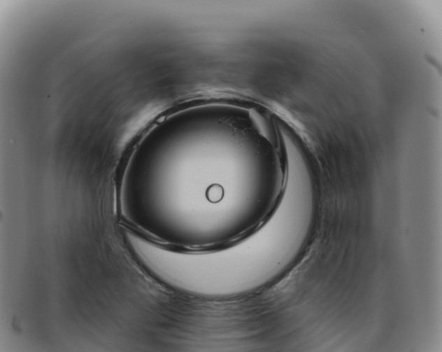 X0000096471269200801311526