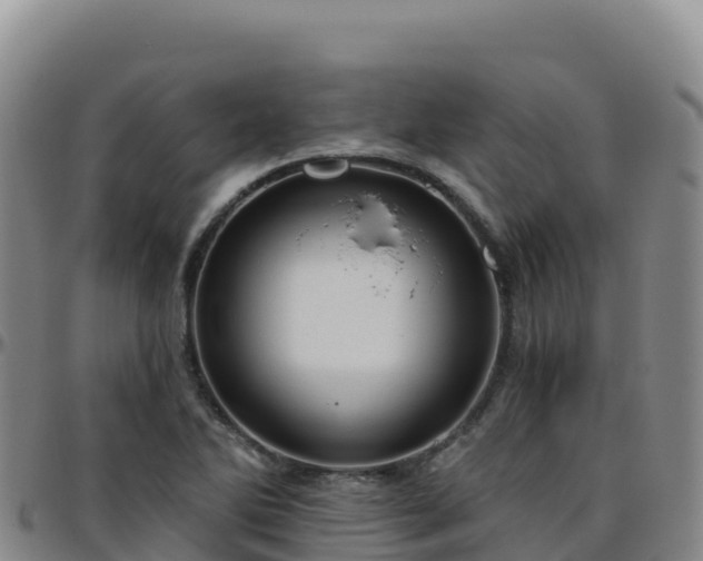 X0000096471270200801311526