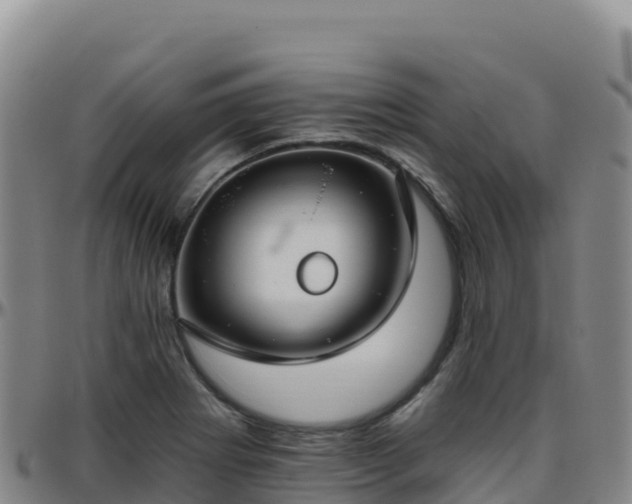 X0000096471273200801311526