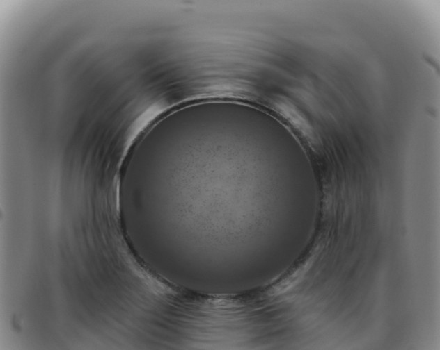 X0000096471275200801311526