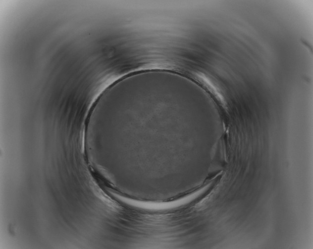 X0000096471276200801311526