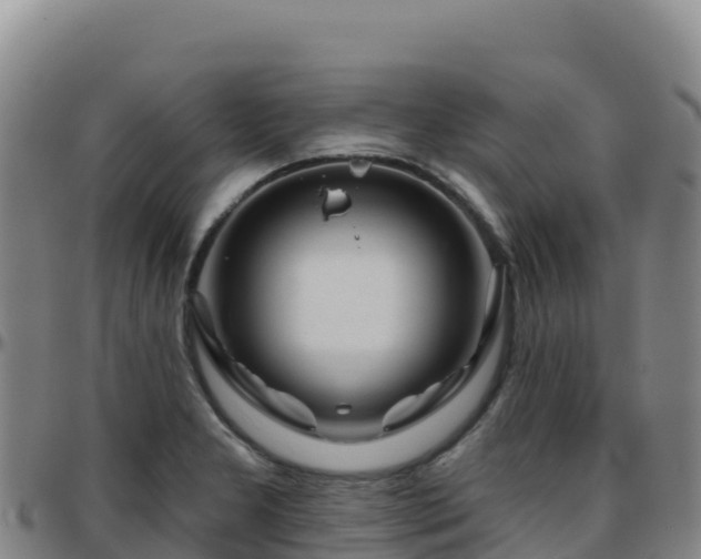 X0000096471277200801311526
