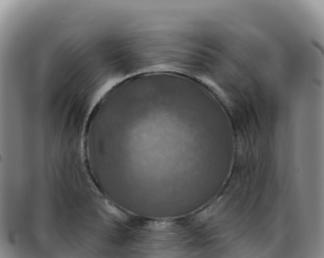 X0000096471278200801311526