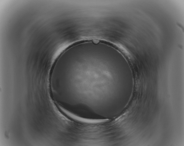 X0000096471279200801311526