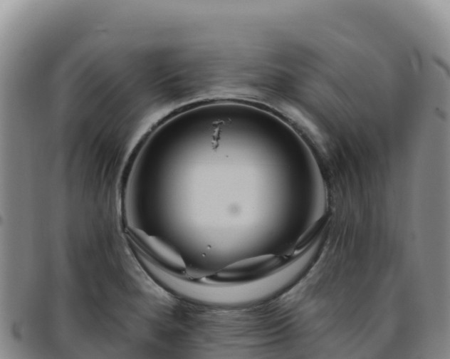 X0000096471280200801311526
