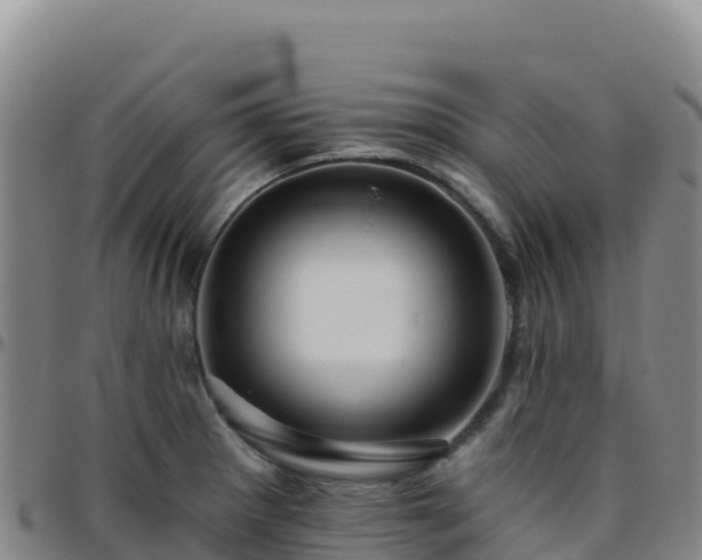 X0000096471281200801311526