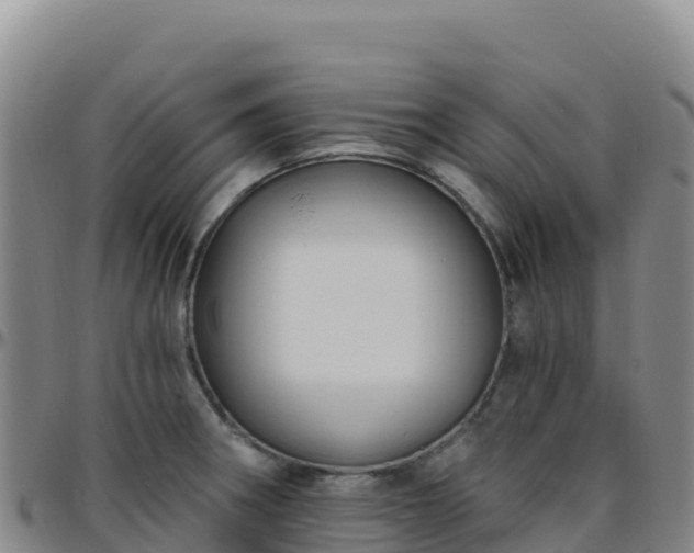 X0000096471282200801311526