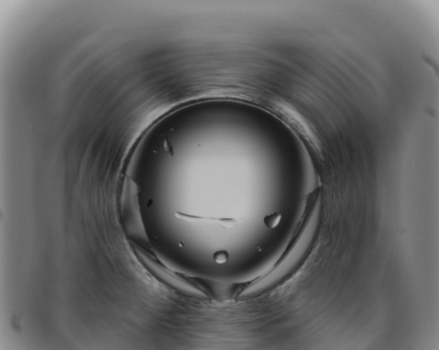X0000096471284200801311526
