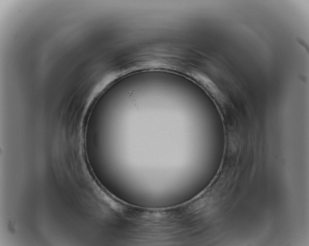 X0000096471286200801311526