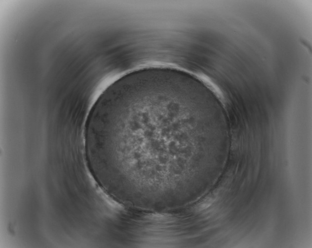 X0000096471287200801311526