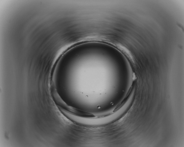 X0000096471288200801311526