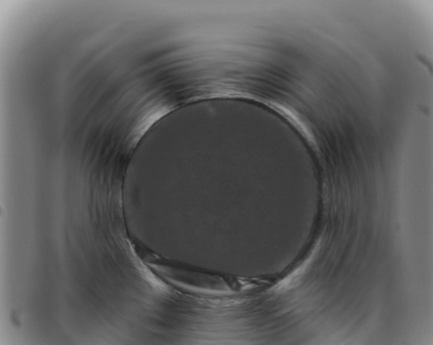 X0000096471289200801311526