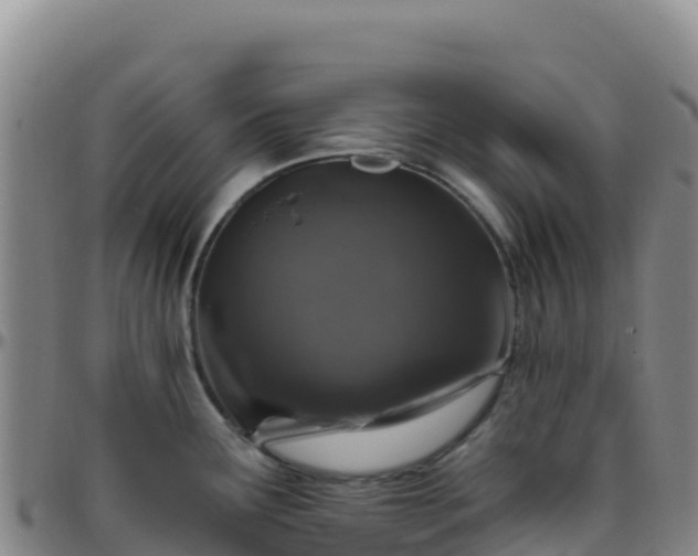 X0000096471291200801311526