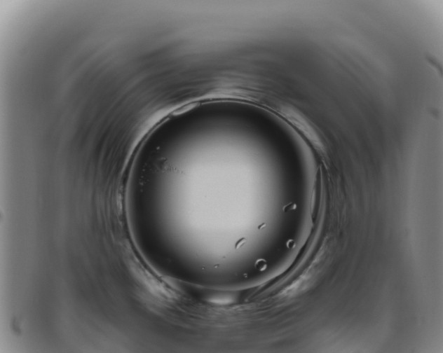 X0000096471292200801311526