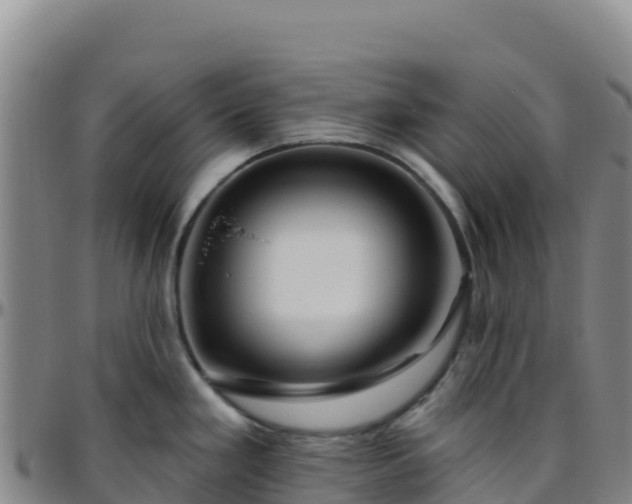 X0000096471293200801311526