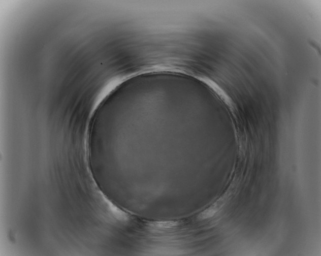 X0000096471294200801311526