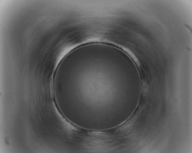 X0000096471295200801311526