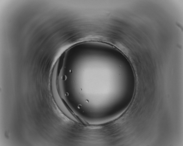 X0000096471296200801311526
