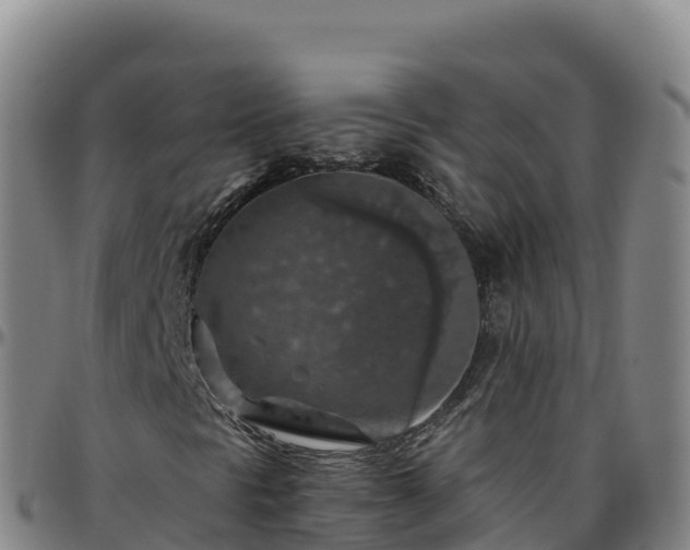 X0000096471297200801311525