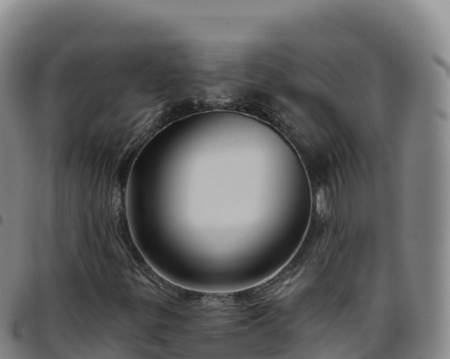 X0000096471299200801311525